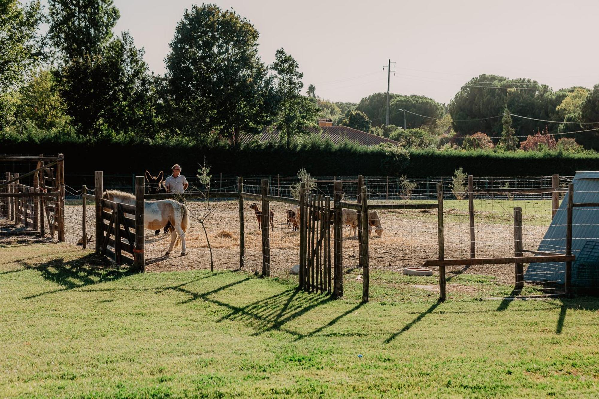 Country Club - Sto Estevao Benavente Εξωτερικό φωτογραφία